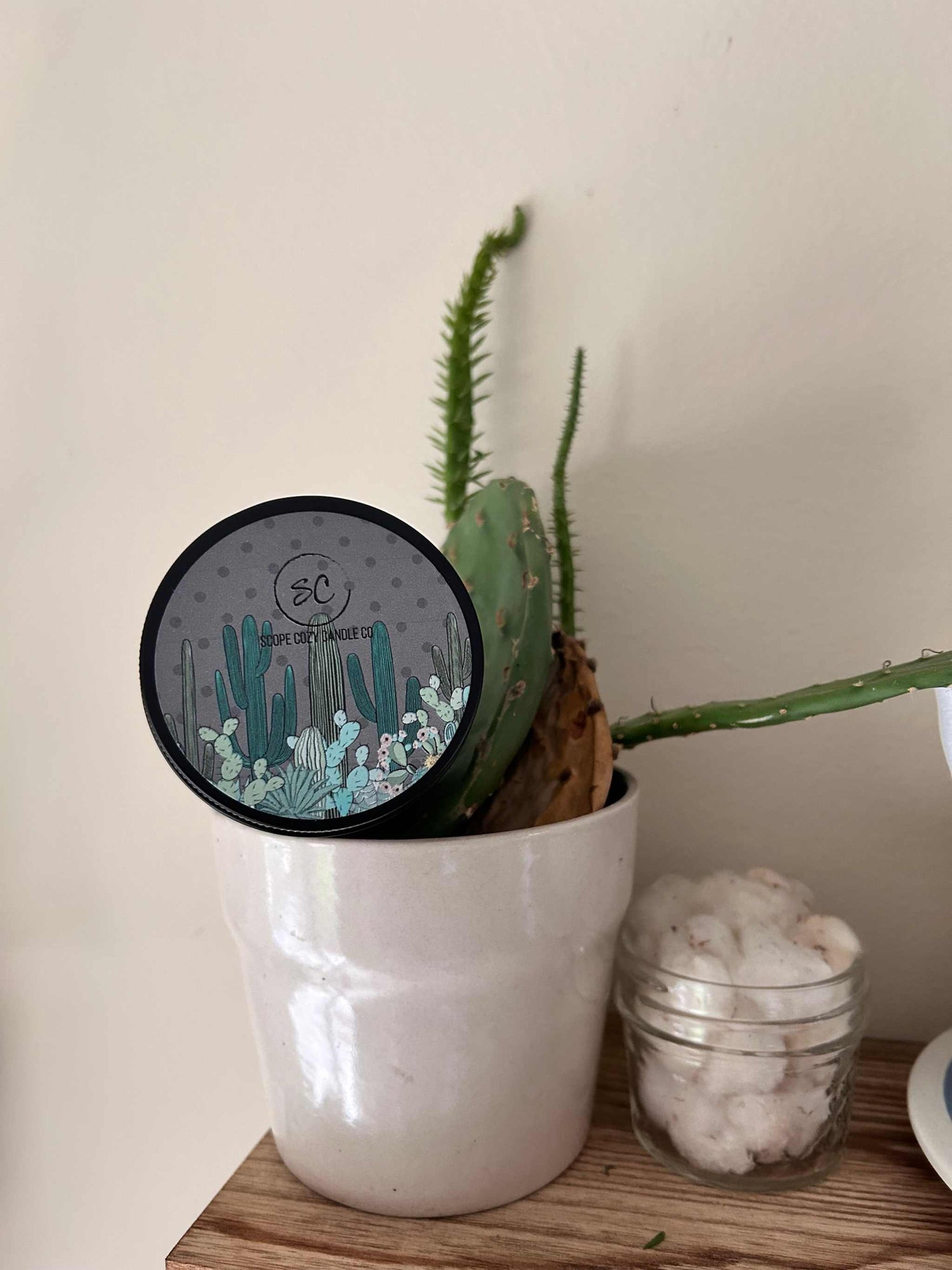 Cacti Ilia Coconut soy scented candle in decorative container with cactus design among houseplants