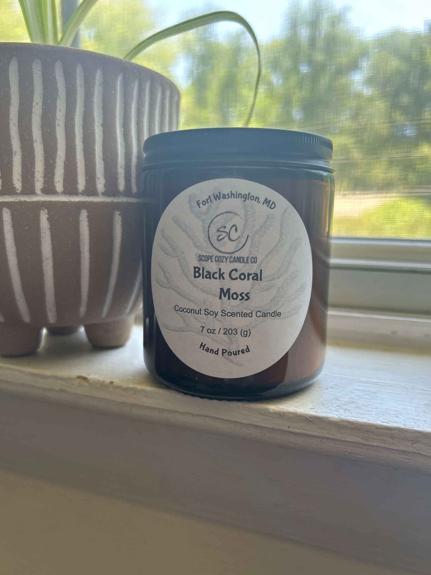 Black Coral Moss 7 oz coconut soy candle in dark glass jar beside brown striped pot on windowsill
