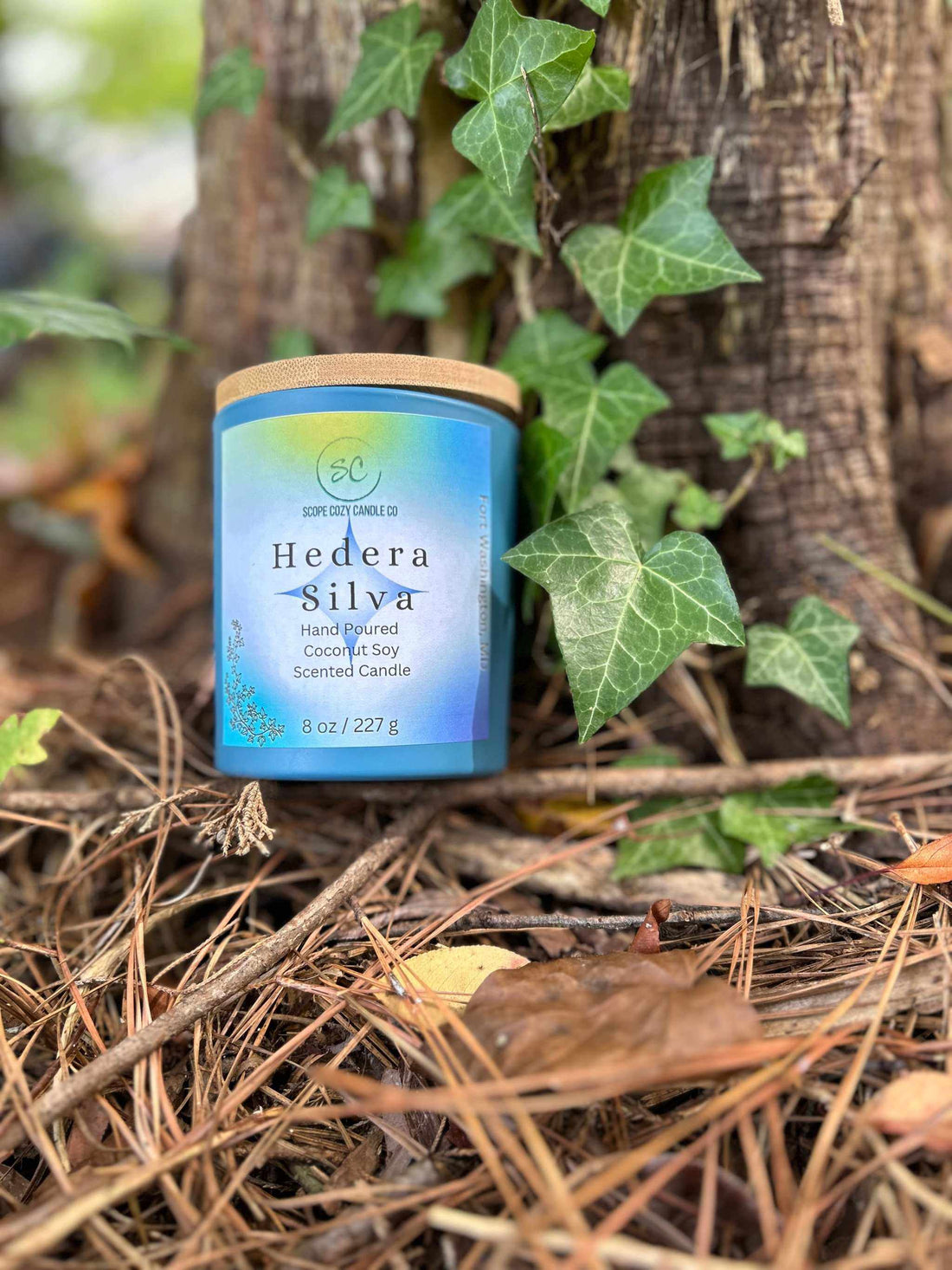 Hedera Silva Coconut Soy scented candle 8oz with eucalyptus, sage, lemon, bergamot, amber musk, ginger, and cinnamon in eco-friendly packaging