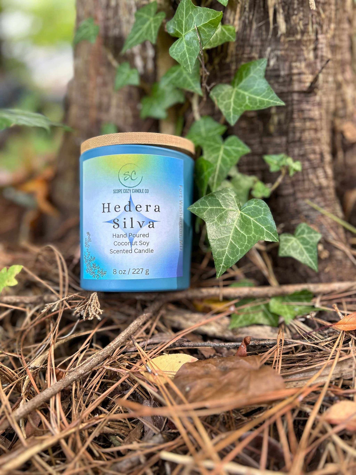 Hedera Silva Coconut Soy scented candle 8oz with eucalyptus, sage, lemon, bergamot, amber musk, ginger, and cinnamon in eco-friendly packaging