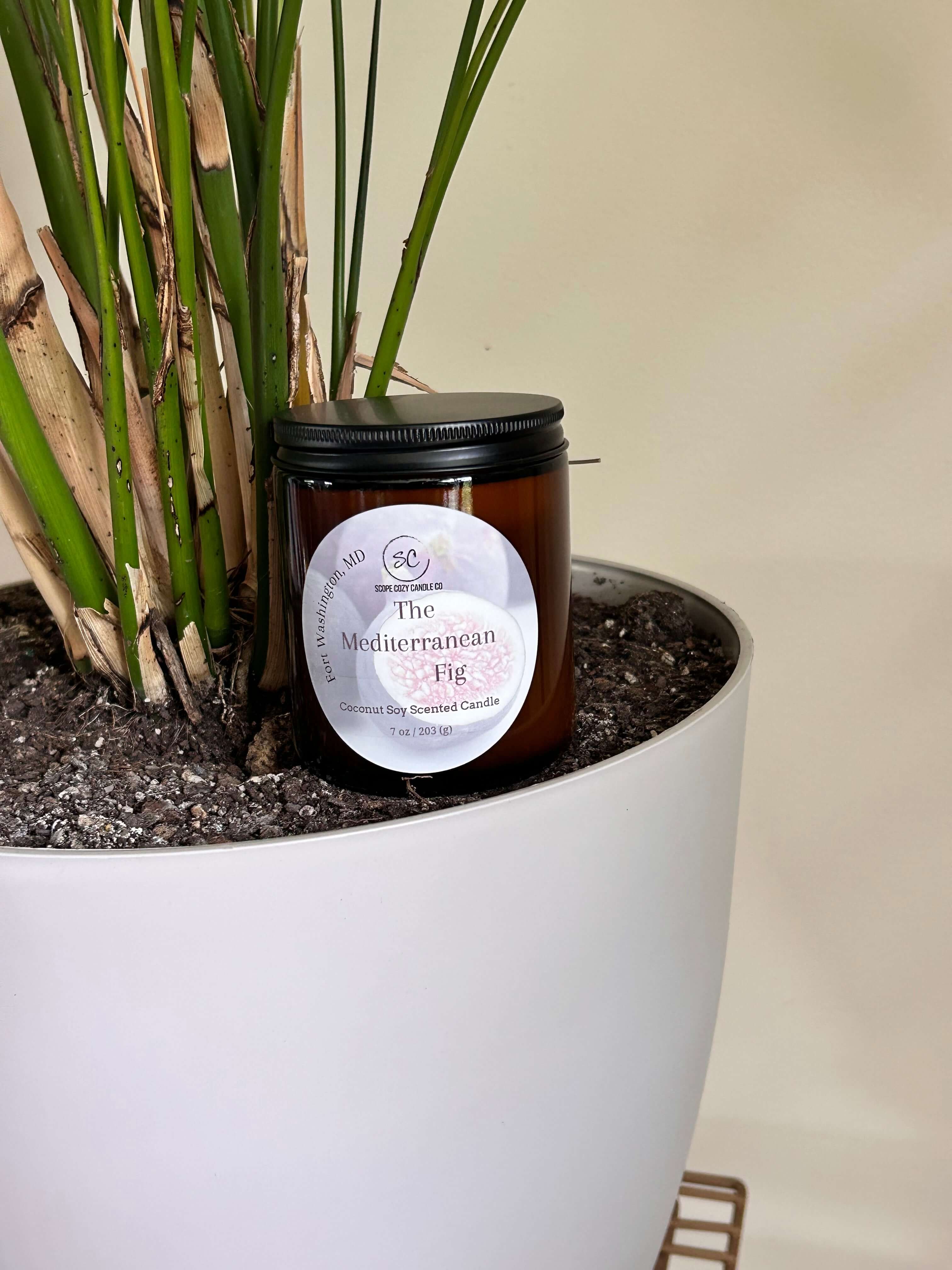 The Mediterranean Fig Coconut Soy Candle 7 oz