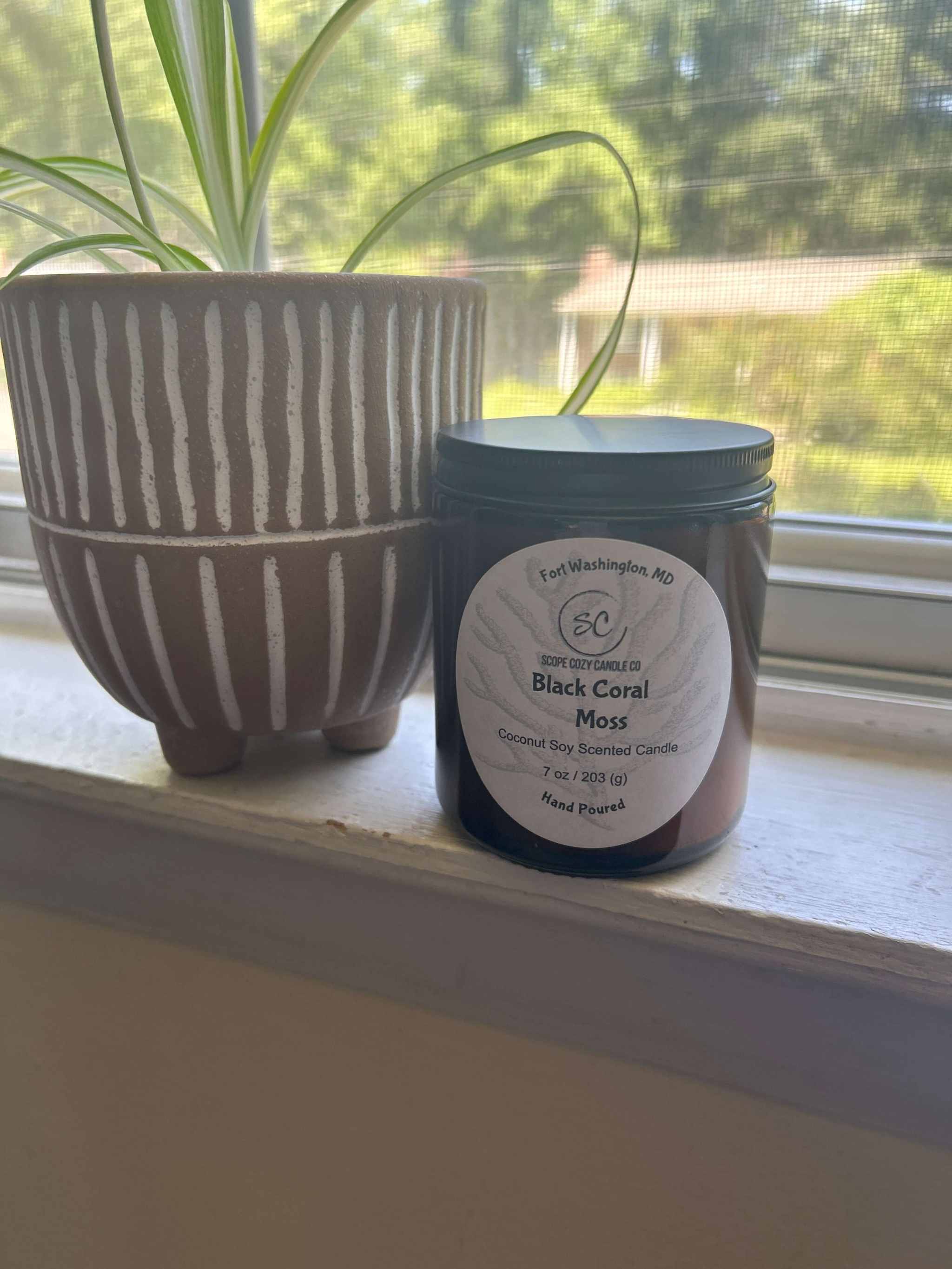 Black Coral Moss coconut soy candle 7 oz in amber jar with black lid next to potted plant on windowsill